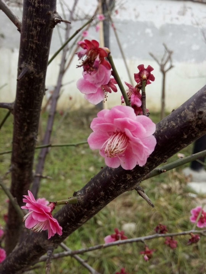 首页全新改版升级啦