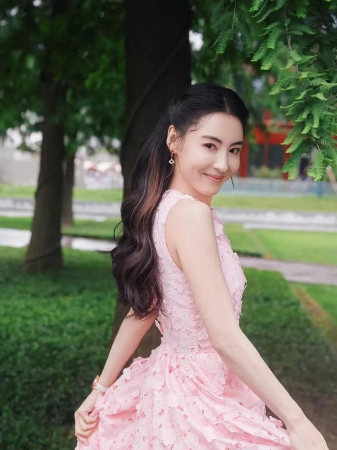 张柏芝又怀孕了?