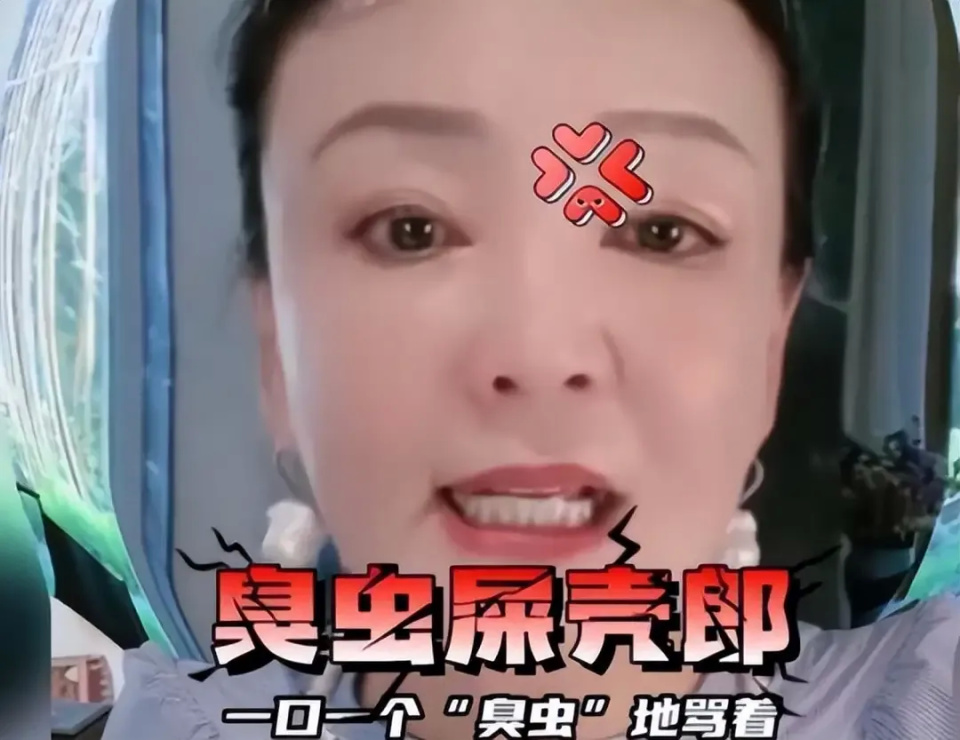 张兰骂张颖颖心机女！女方称想分手多次，前天半夜汪小菲还来敲门_腾讯新闻