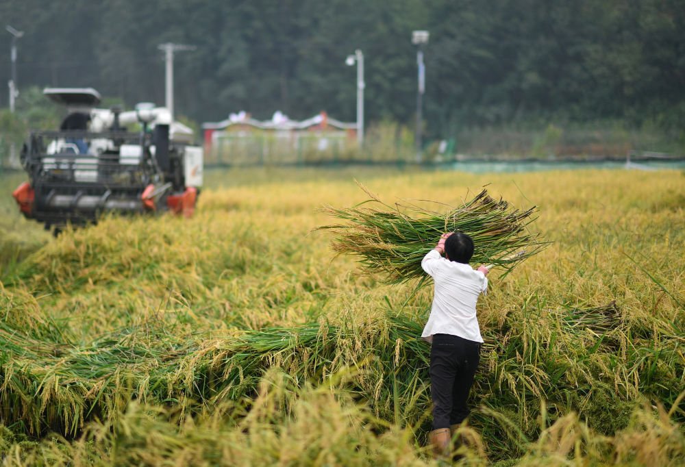 劳动节,我们向这些背影致敬_腾讯新闻