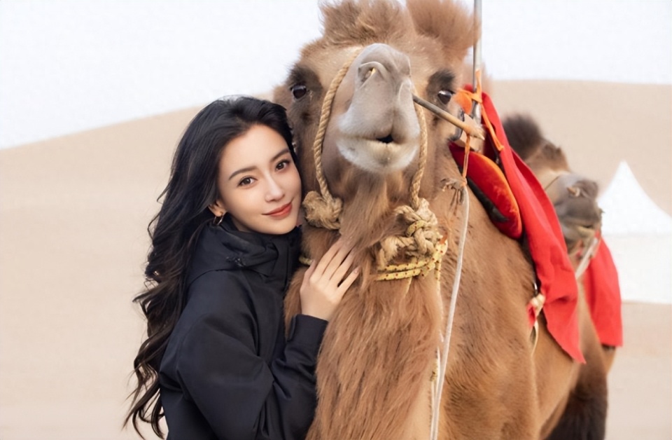 34岁杨颖恋爱了,在剧组跟帅哥同吃同住?本人回应了-腾讯新闻