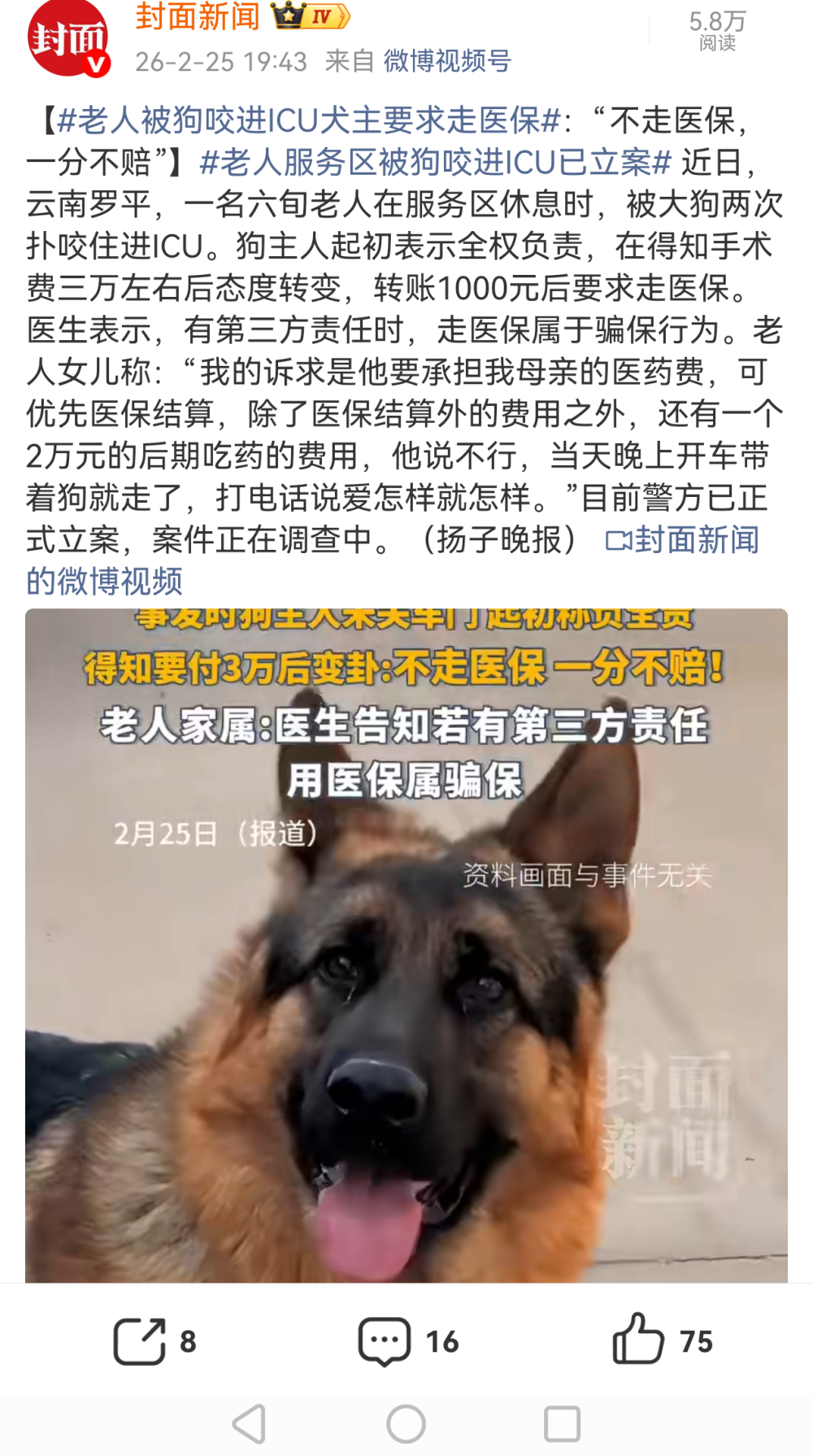 狗咬人后，看一个狗主人如何为狗说话的，你再也想不到……_腾讯新闻