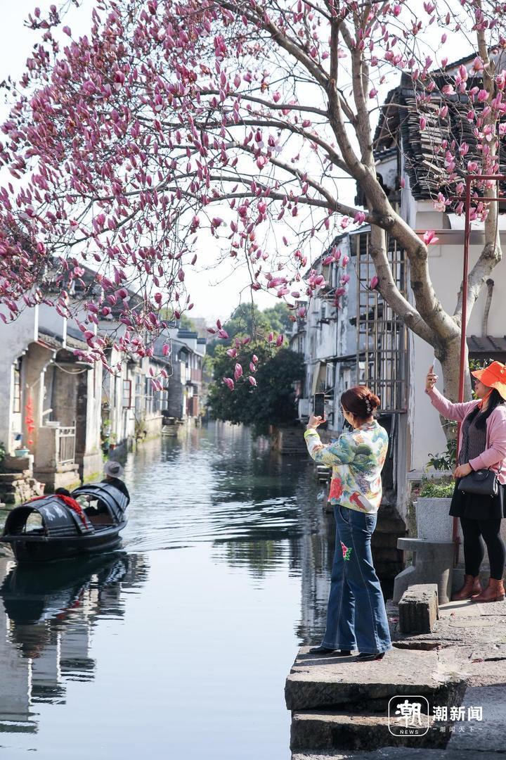 绍兴江南春色好