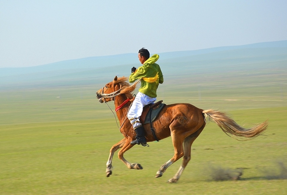 广阔的内蒙古草原和牧场,是蒙古族群众马术运动成长的摇篮.