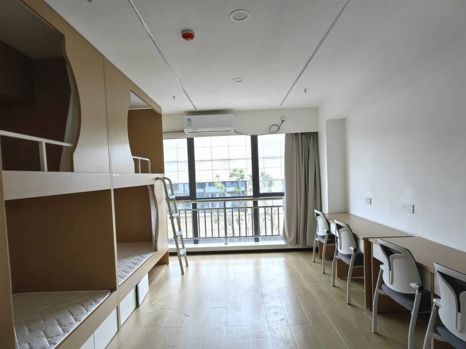 从"生根发芽"到"枝繁叶茂" 服务外包产业成为内江东兴区发展新动能