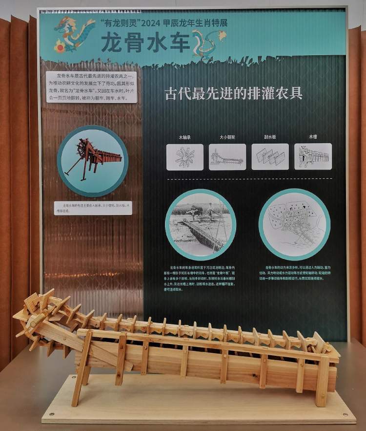 展览中,古代排灌农具"龙骨水车",古代皇家用的"龙洗"都引得观众一探