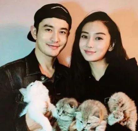 杨颖粉丝喊话黄晓明和前妻传话,网友:脸皮真厚_腾讯新闻