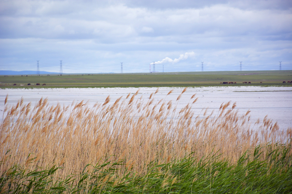 行摄大草原:辉河湿地