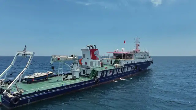 钓鱼达人「小柱子」登船后难掩兴奋:「国内钓鱼船几乎不太可能遇到