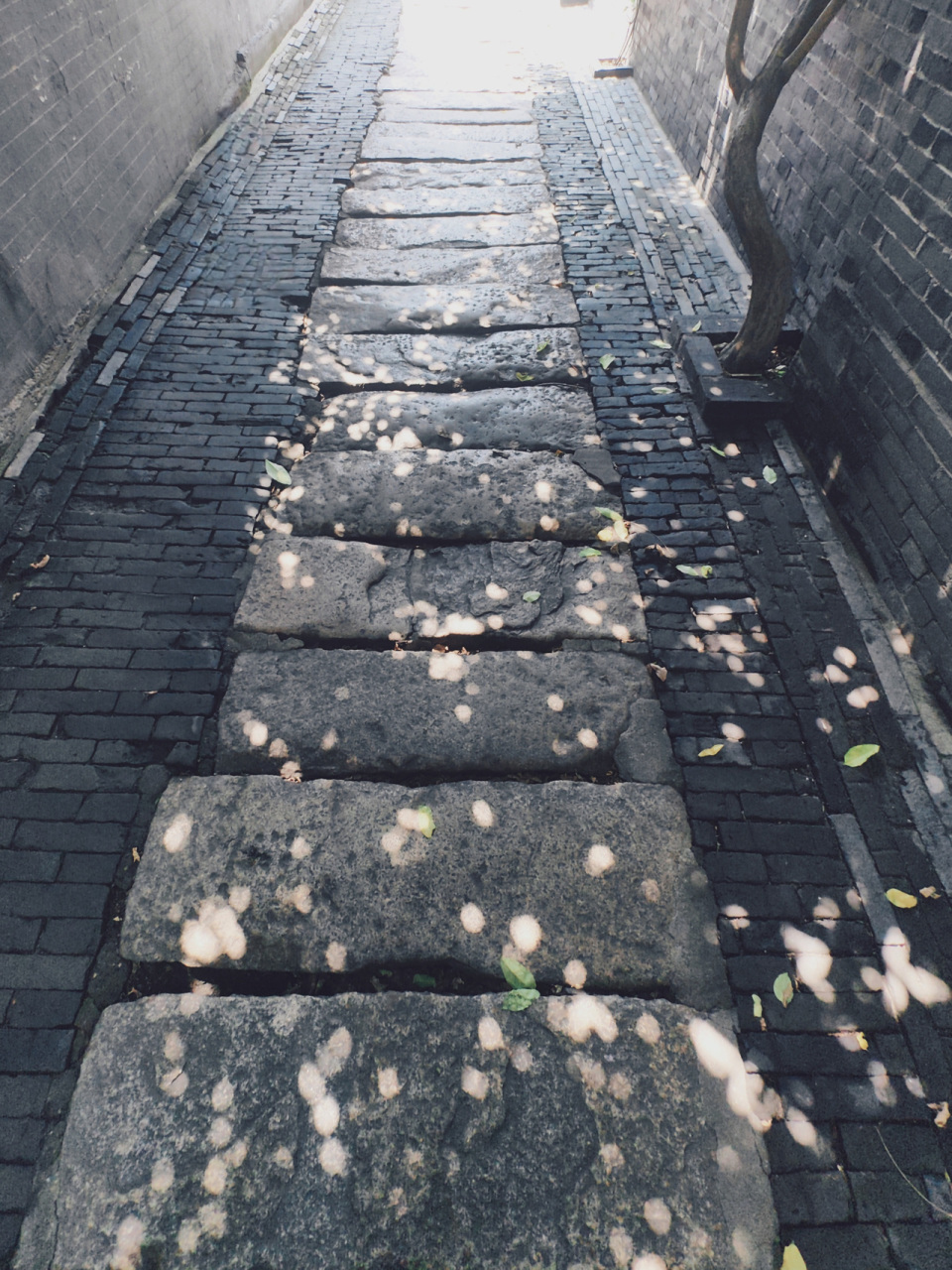 沉淀在古镇院墙的罅隙里,浸润在老街不语的青石板路上