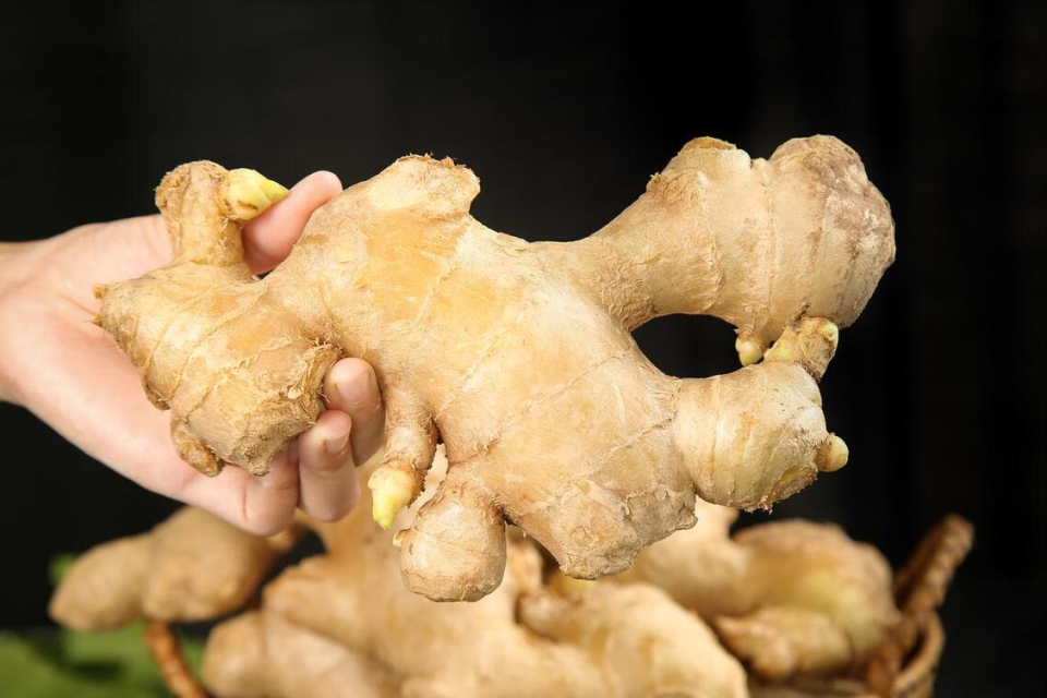同样是姜，生姜和老姜一字之差，区别原来这么大，别再瞎用了_腾讯新闻