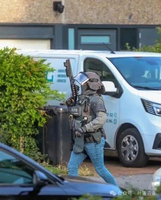 关于荷兰特别干预队dsi的部分事实陈述