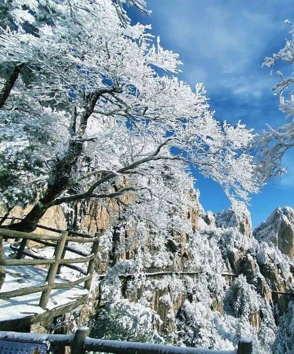 静静等待,默默倒数最美的雪景已经在赶来老君山的路上君君在等雪也在