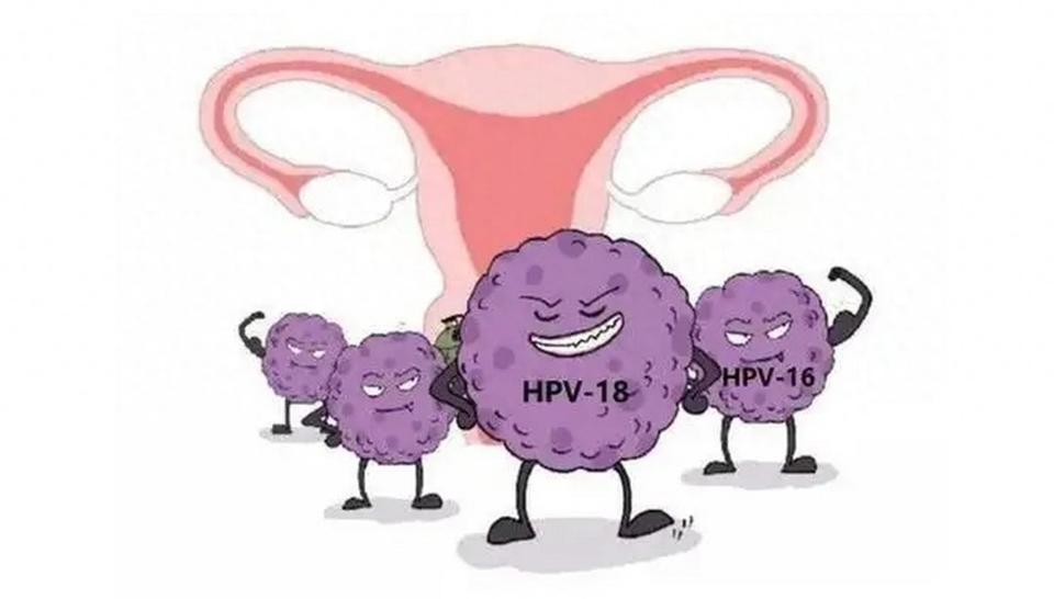 腾讯新闻