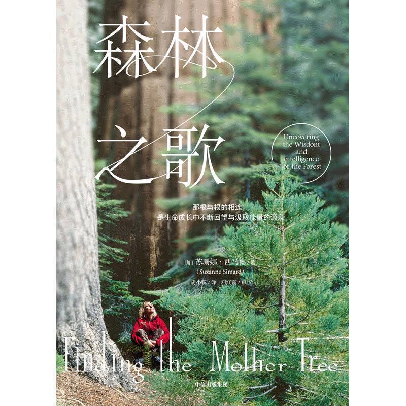 谁懂聆听"森林之歌"? 先锋科学家用树木的智慧疗愈人生|当代书评