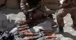 ͼƬ