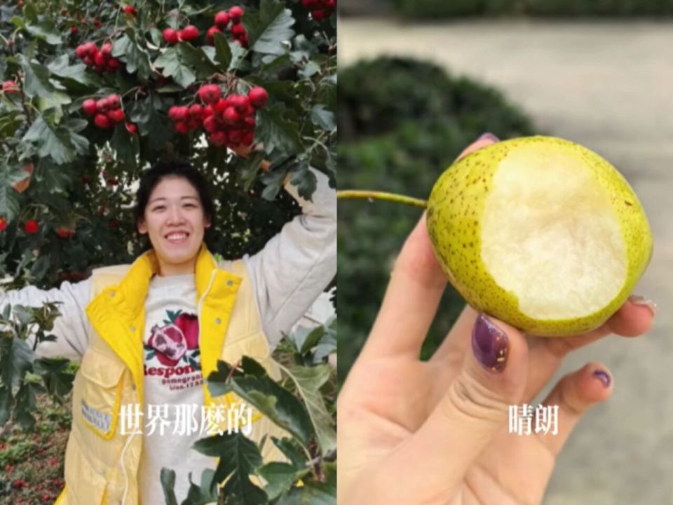 太拼了！中国女排李盈莹训练近况 手臂淤青拇指挫伤 鲜血染红袜子