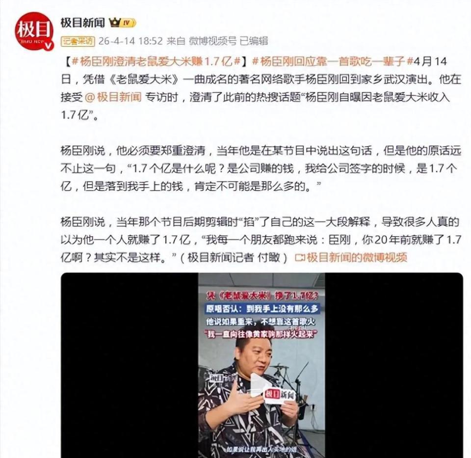 杨臣刚再谈老鼠爱大米1.7亿收入：公司流水≠个人所得_腾讯新闻