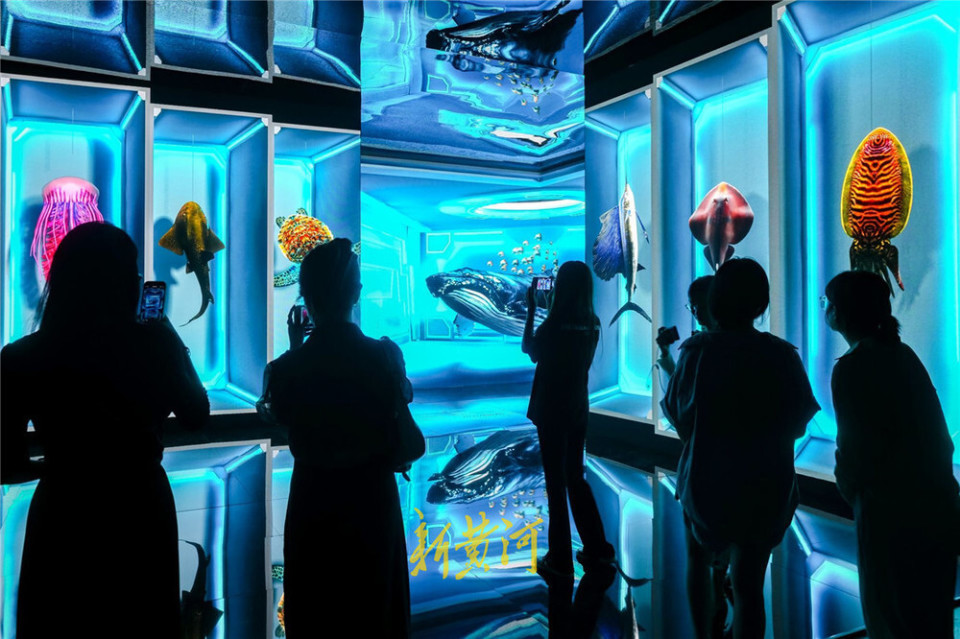 沉浸式ai数字艺术展即将亮相山东美术馆,快来打卡吧 | 新黄河·镜相