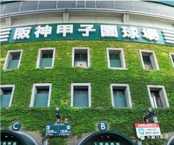 甲子园球场举行百年纪念倒计时一周年活动