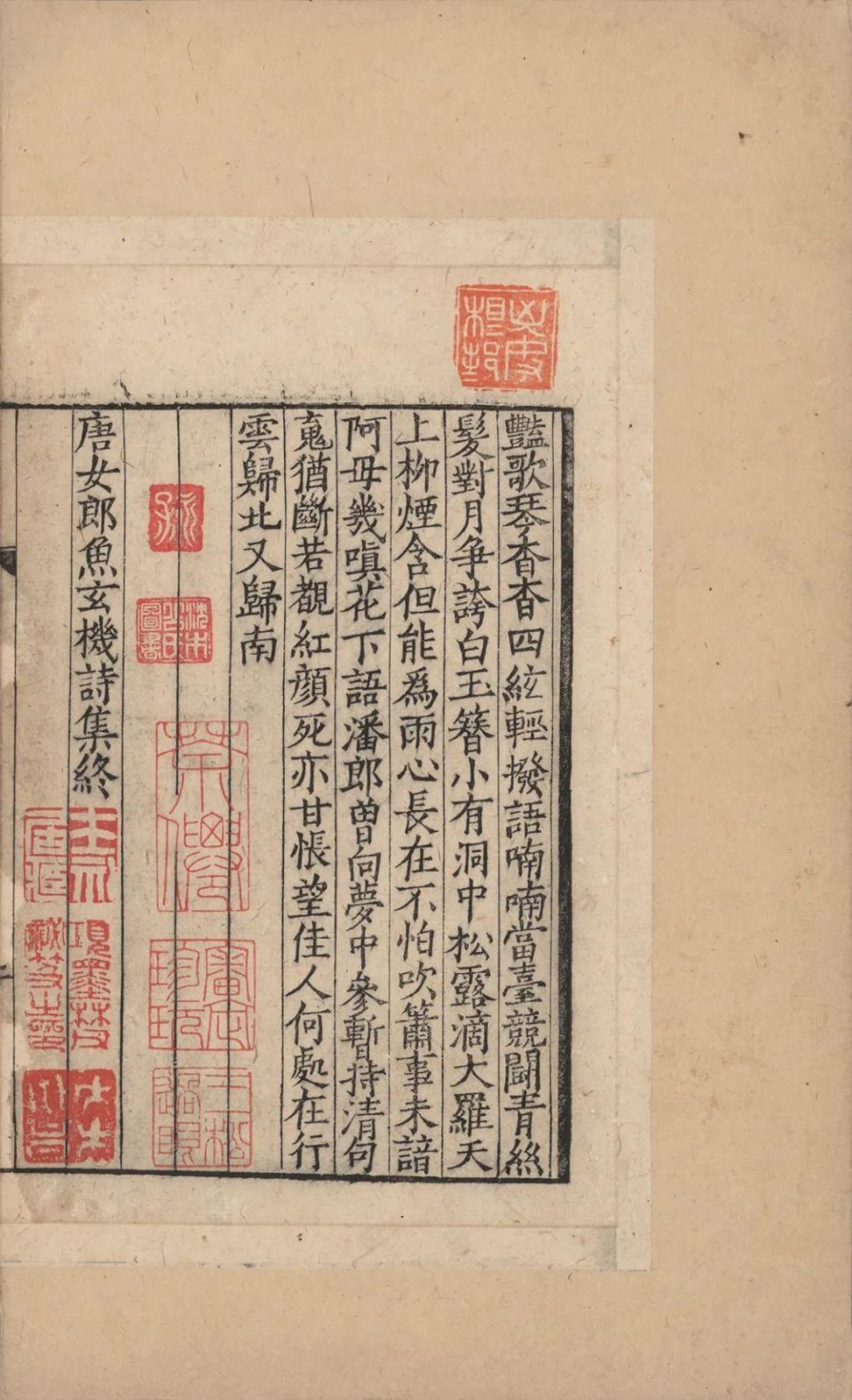 設文解字義證(上海古籍出版)(中文書・影印本) 設文解字義證(上海古籍出版)(中文書・影印本) 說文解字注中國