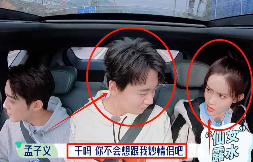 孟子义风评大反转！她可不是心机女，“笨蛋美女”实至名归_腾讯新闻