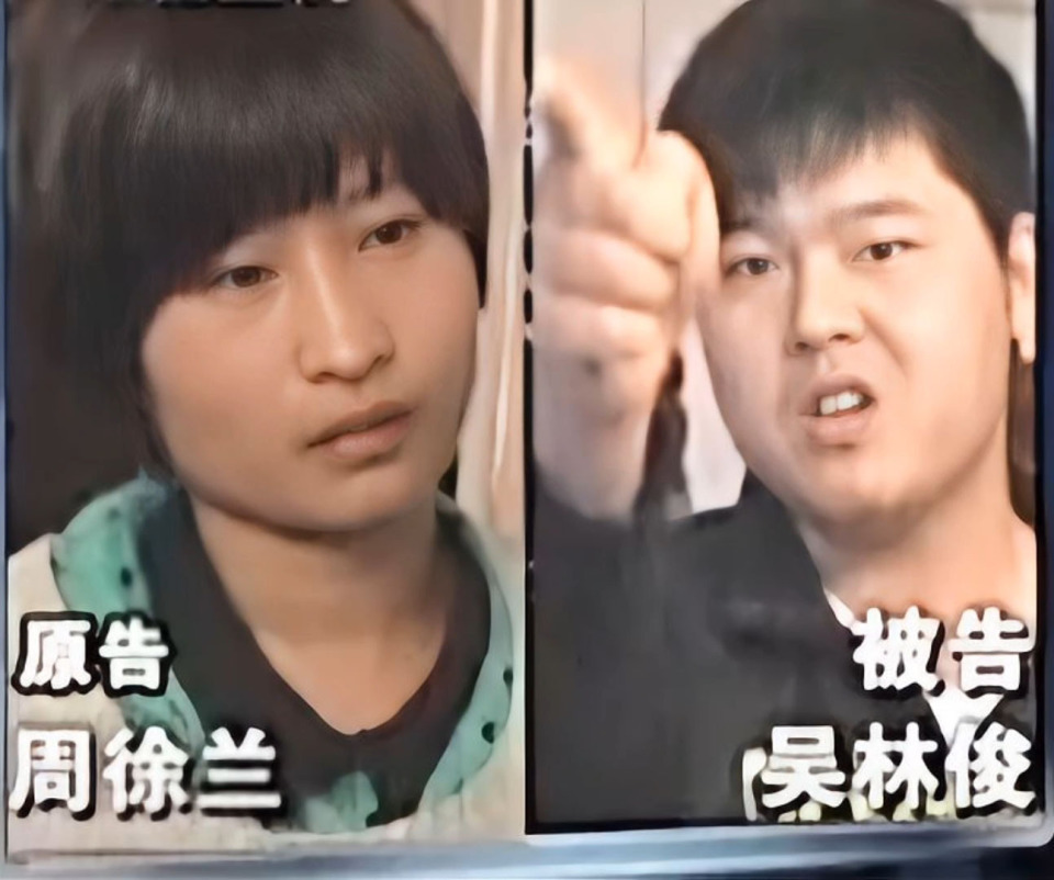 纠纷当事人法官宣判中2015年重庆梁平县人民法院案例:袁丽的婆婆购买