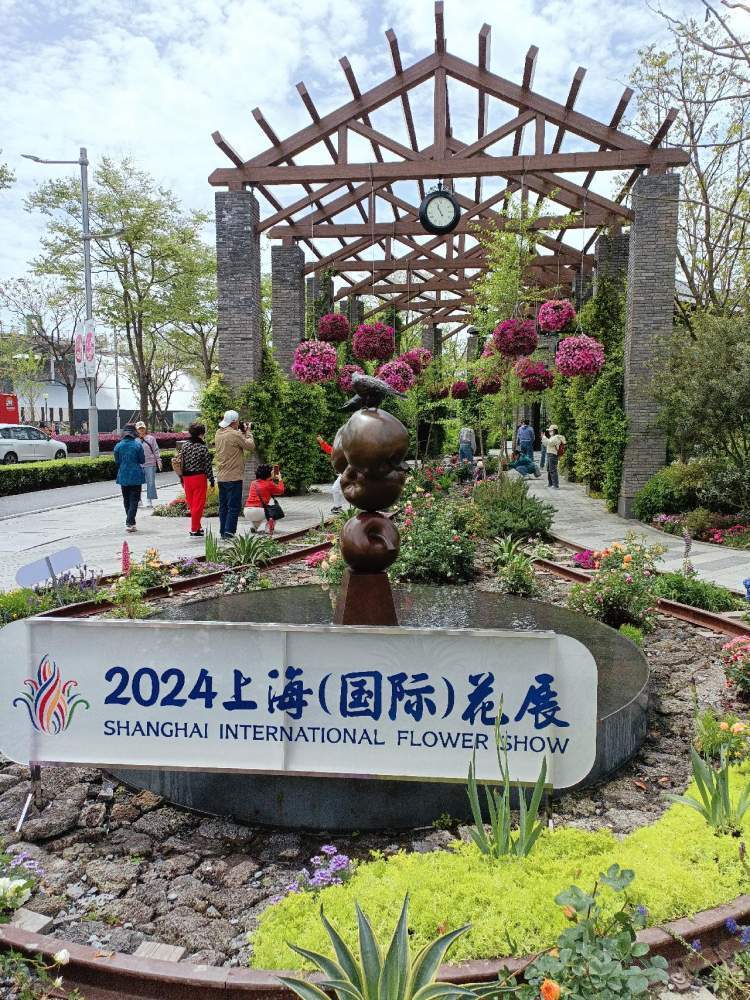 月季花盛开在古旧的铁轨边