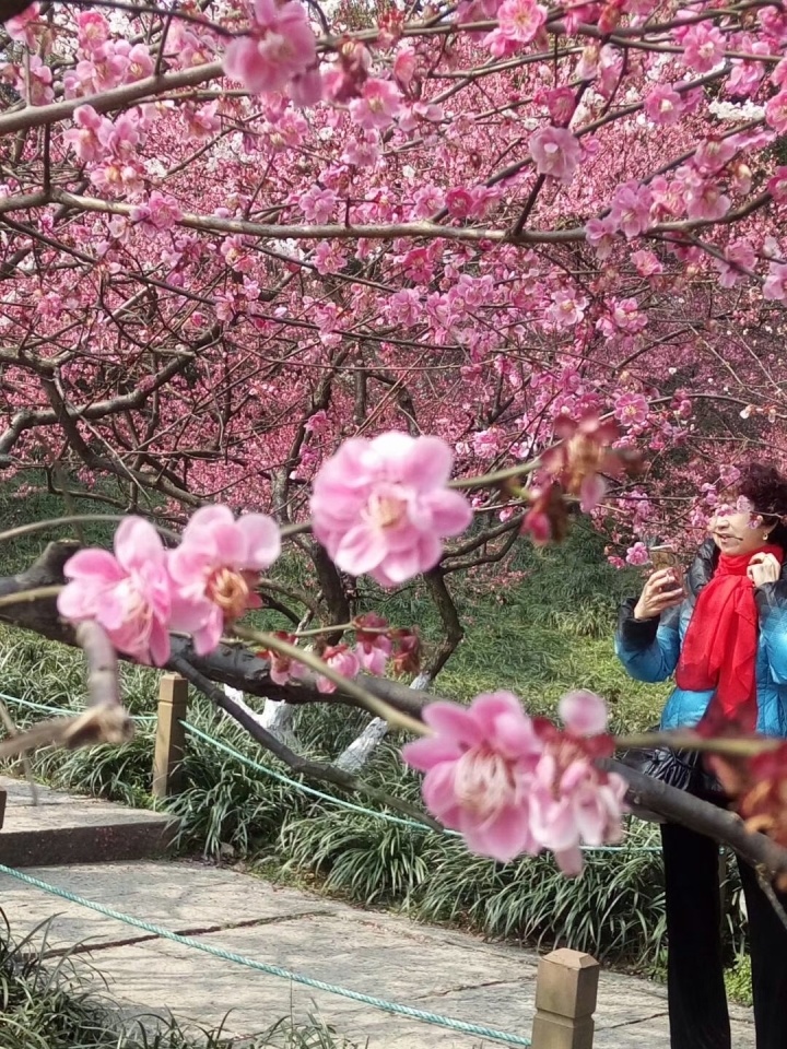 首页全新改版升级啦