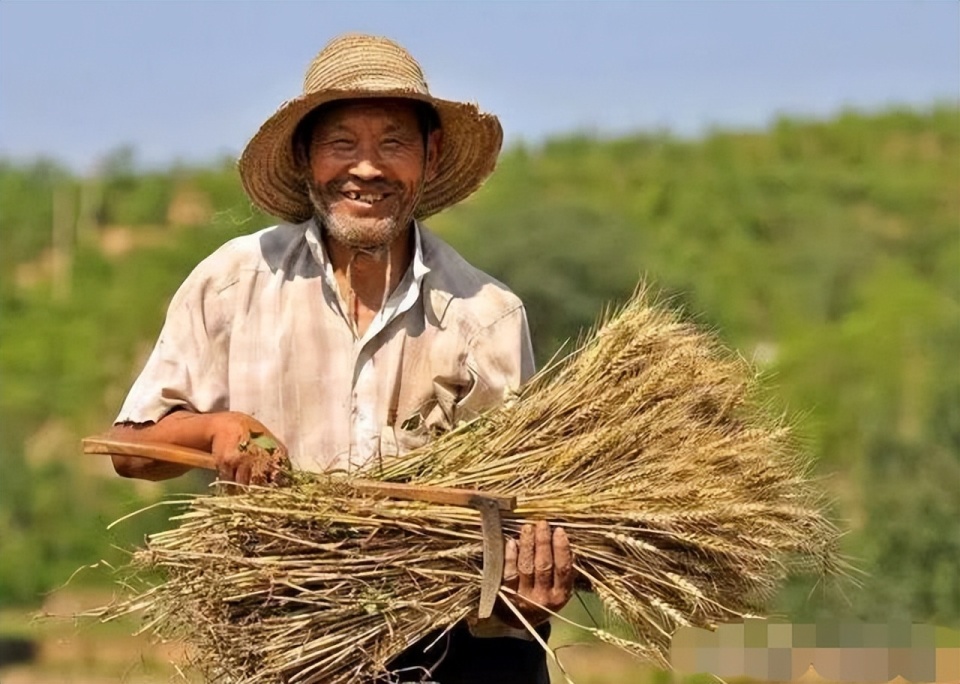 然而,谁曾想到,这位和蔼可亲的老人,竟然会在自家的田埂