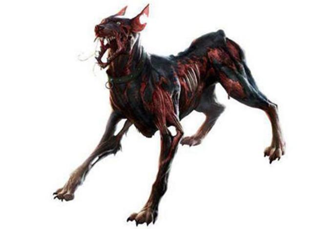 传说地狱犬很可怕,但日本的地狱犬病毒并没有那么厉害,并不可怕_腾讯