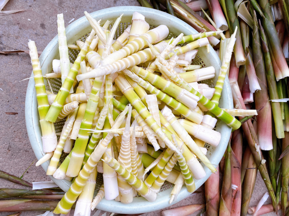 5月,不能错过小野笋,简单的做法好吃解馋,下饭佐酒还能当零食