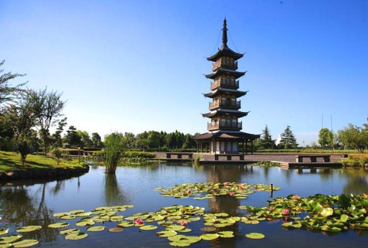 张马村地处"三泖九峰"之地,千年泖塔巍然屹立,田肥林茂,菜花摇曳.