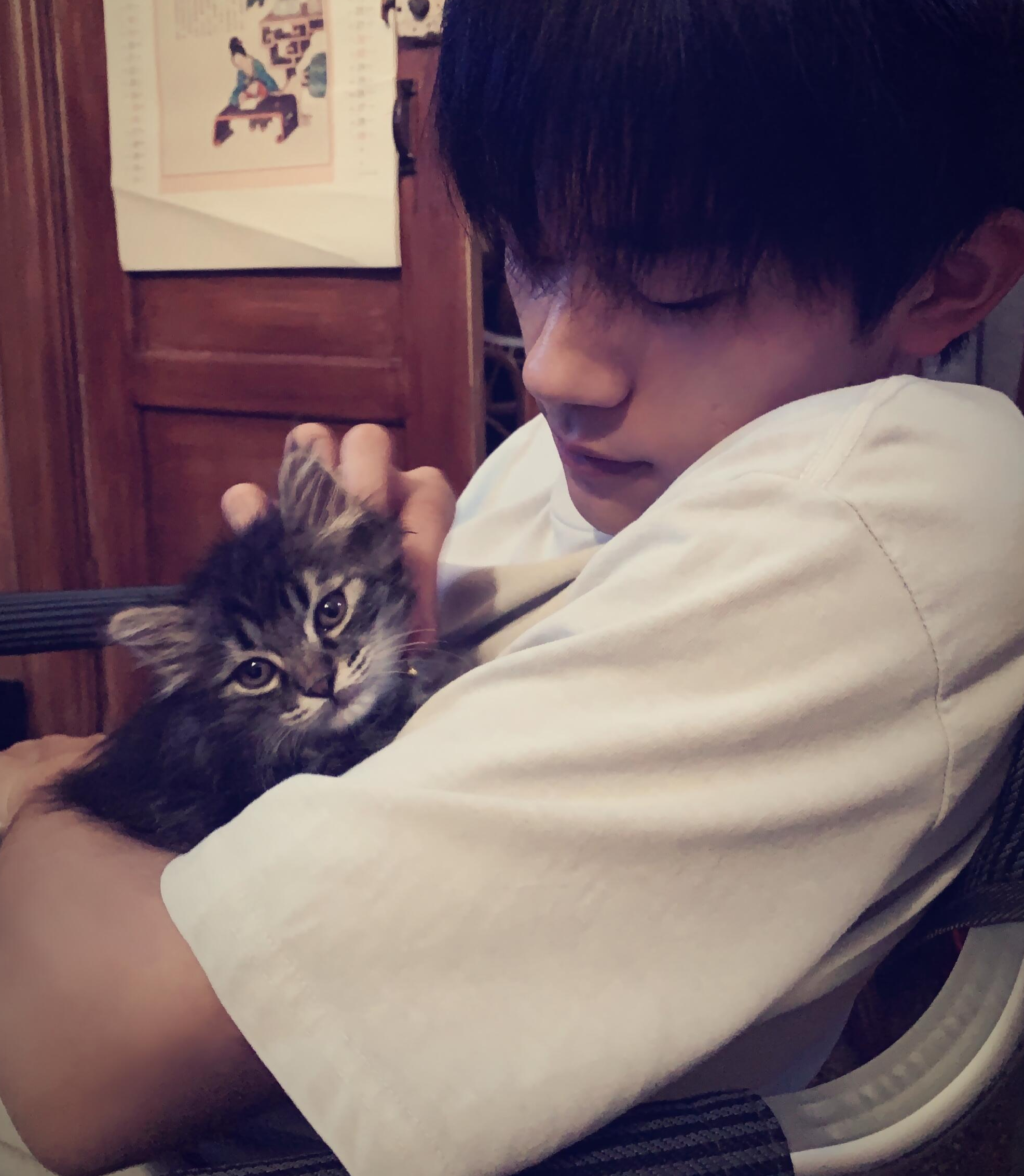 易烊千璽成最年輕金雞影帝，為什麼是他？ - 