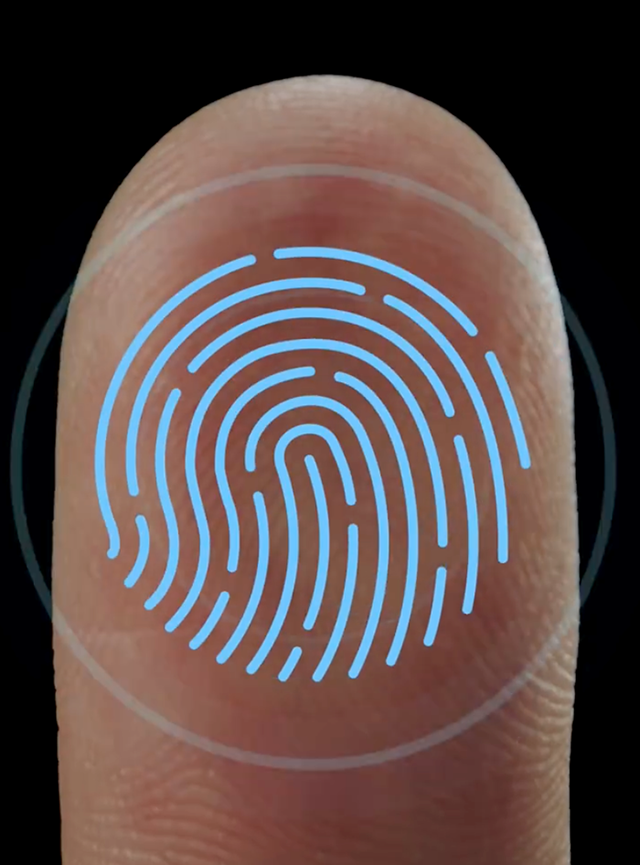 俗语"十指无斗,一世富有",你的手指有几个"斗"?