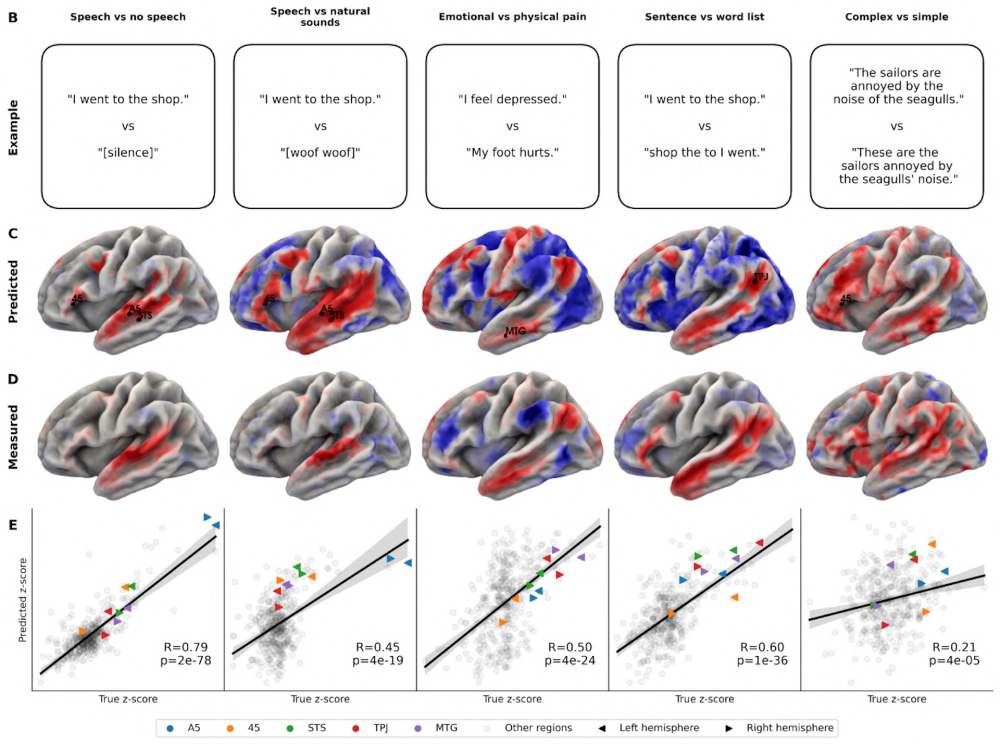 语言实验预测图
