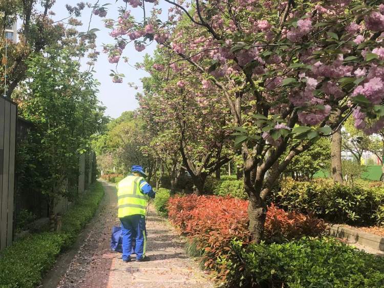 江湾城路图片