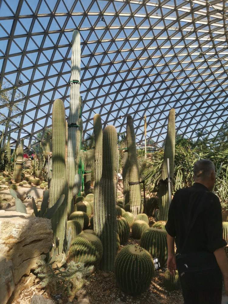 松江一日,游广富林观植物园