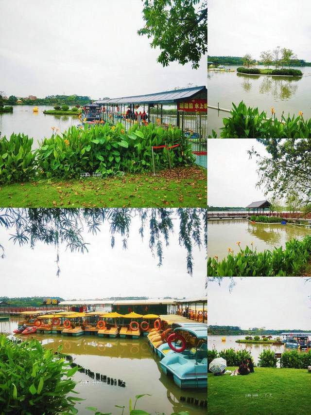 广州白云湖:有花有湖有大草坪,可骑行徒步露营遛娃,攻略来了_腾讯新闻