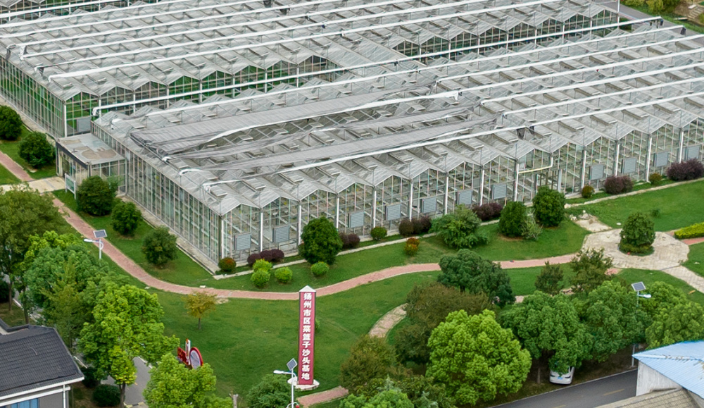 位于北洲三镇西首的沙头镇,2003年被确定为扬州市"菜篮子"基地.