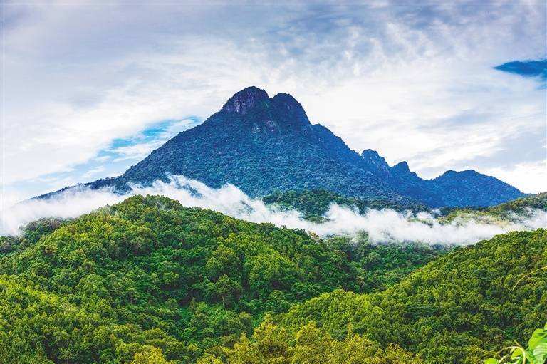 五指山照片大全图片