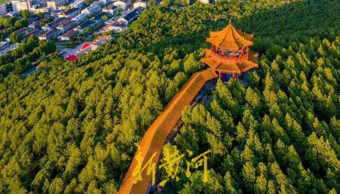 让市民赏绿又享绿英雄山风景区开放共享四处林下空间