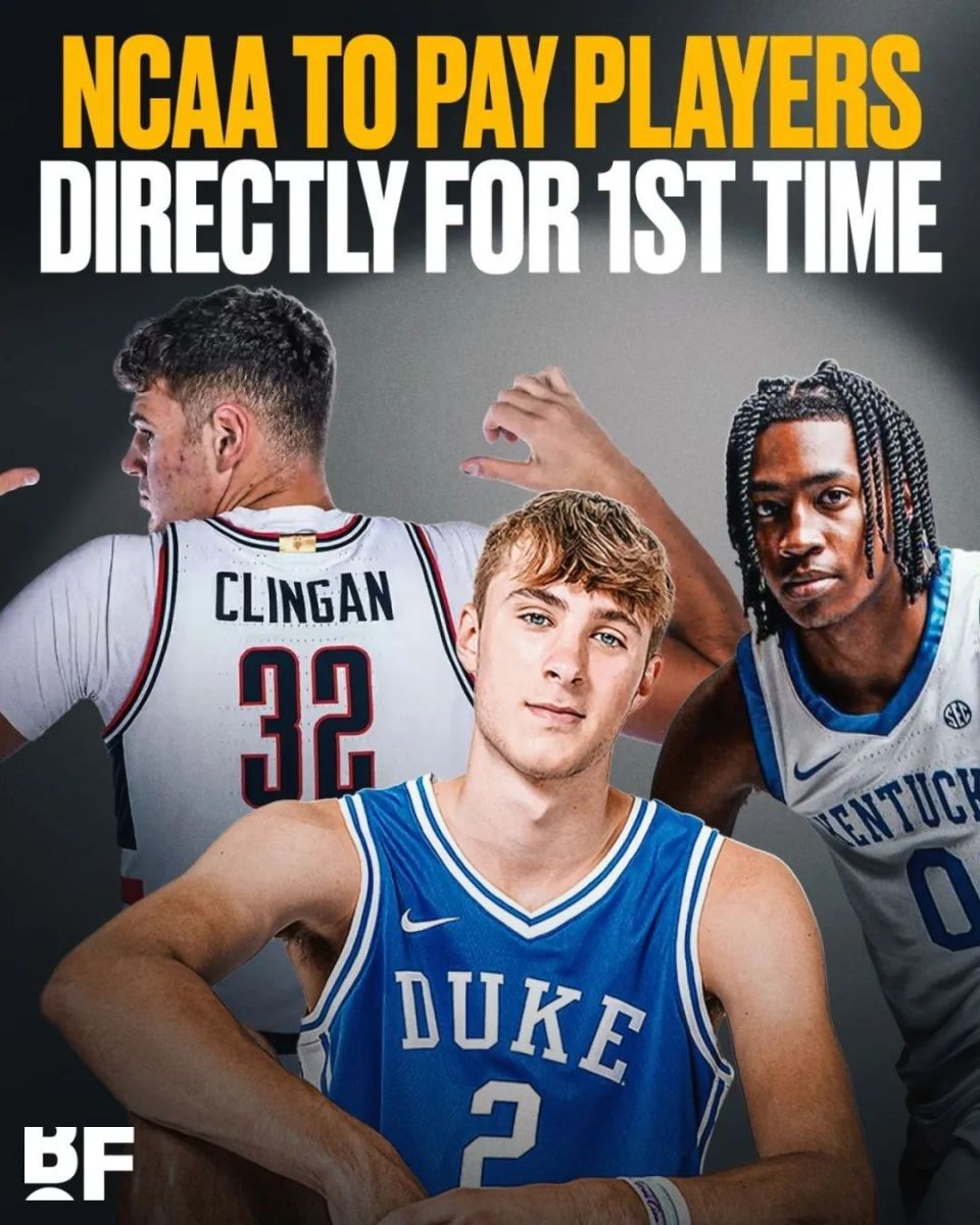 东契奇喂出来的顶级中锋!这只是一年级新秀