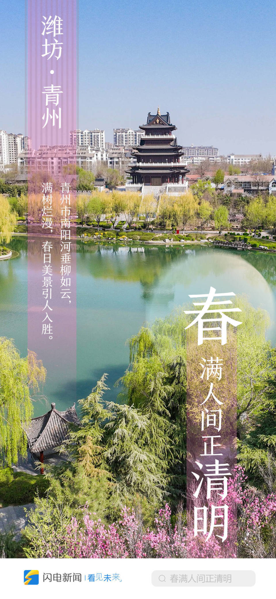 闪电海报|春满人间正清明 云游齐鲁打卡赏花