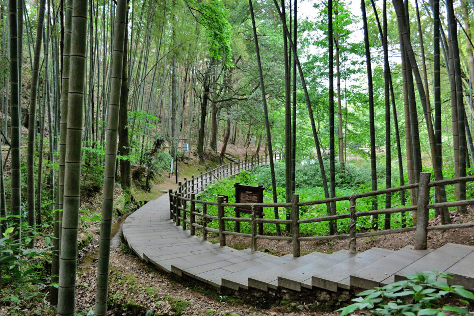 丽水:城在山水中,人在花园里