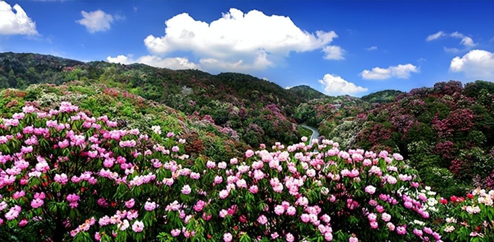 联系电话:0857-4666999地址:贵州省毕节市百里杜鹃管理区普底乡,金坡