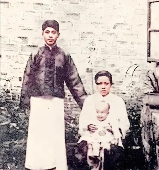 杨武之与妻子吵架，杨振宁保护母亲怒吼父亲，弟弟杨振平称赞哥哥_腾讯新闻