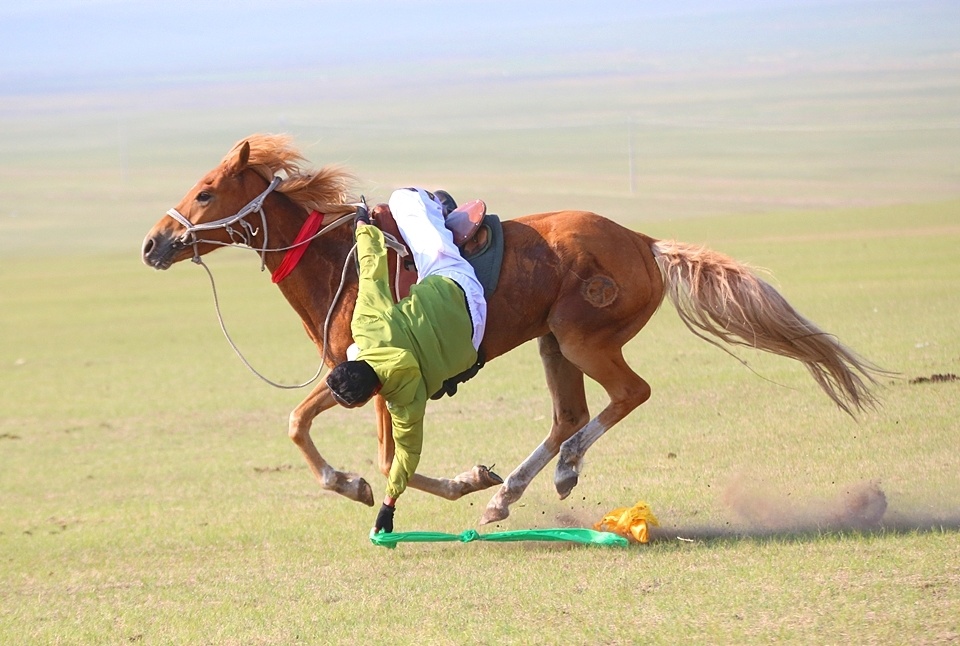 行摄大草原:马术绝技