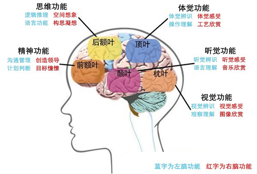 什么是强大的前额叶？你怎么样才能拥有它？_腾讯新闻