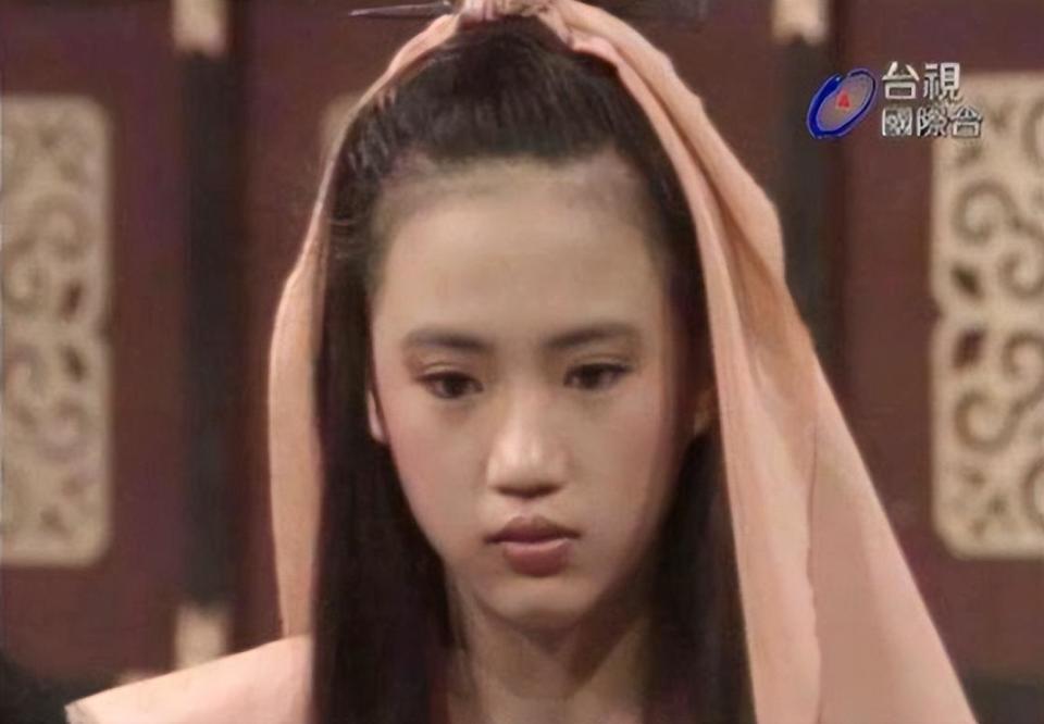 1984年,18岁的桑妮主演了自己的第一部电视剧《苦心莲》,她饰演